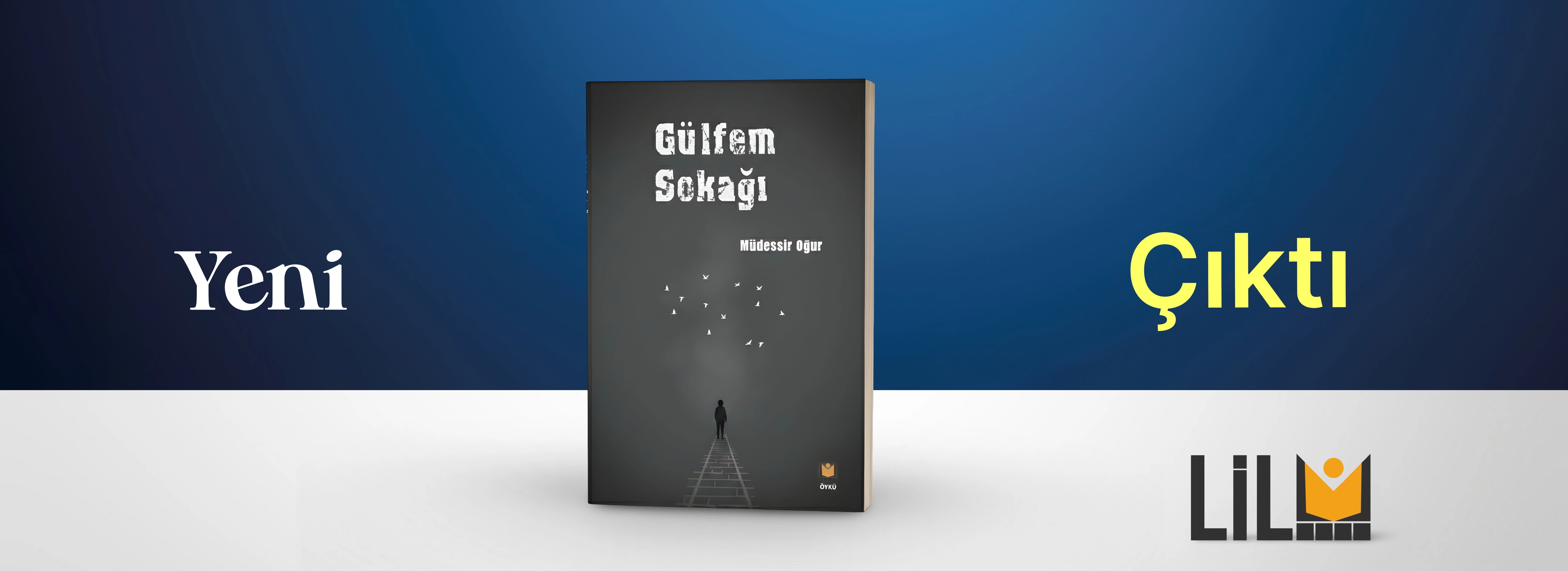 Gülgem Sokağı, Müdessir Oğur, Öykü, Lil Yayınları, Çıktı